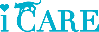 i CARE